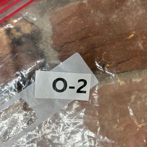 5 for $25🔥Challenge Everything: An Extinction Rebellion - Paperback - Picture 5 of 5